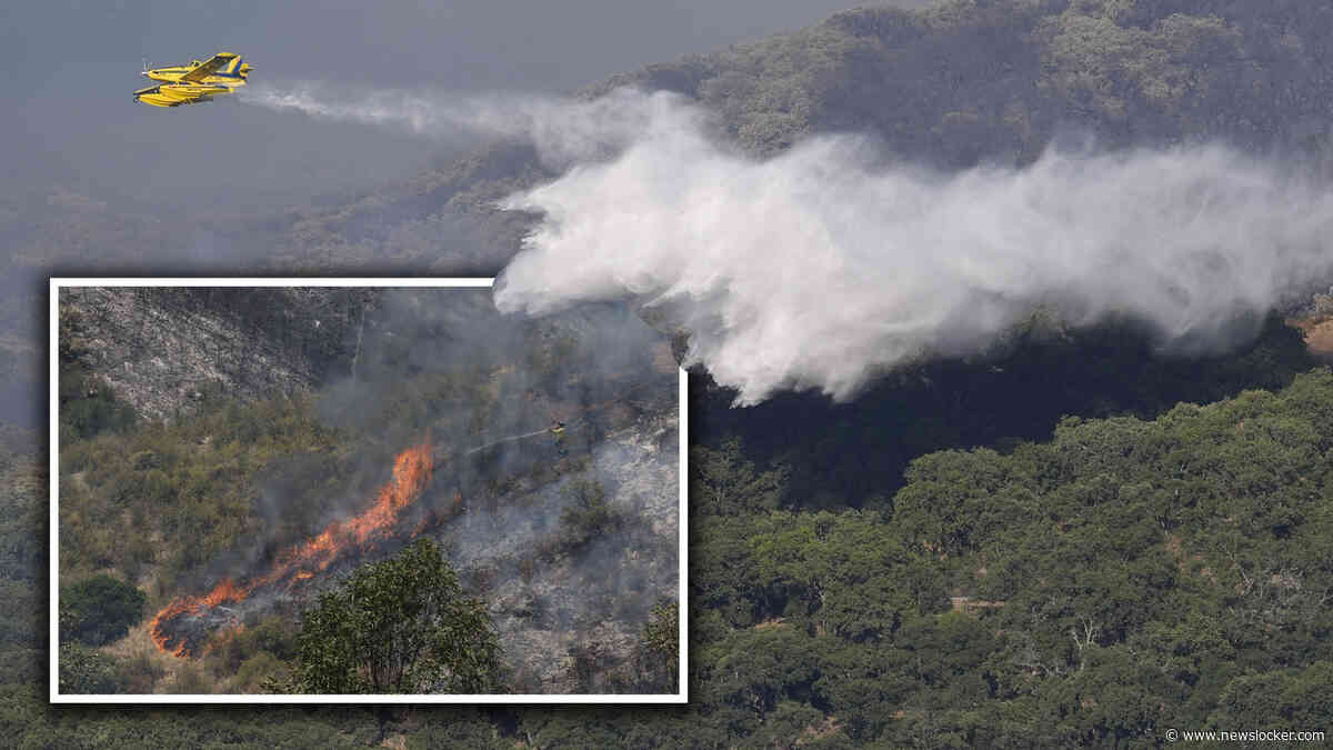LIVE | Elf doden bij bosbrand in Andalusië, negentien mensen vermist