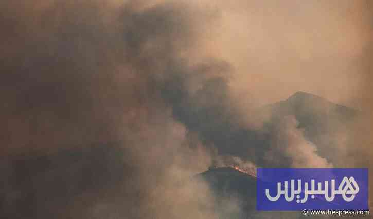 12 قتيلا في حريق غابات بجنوب إسبانيا
