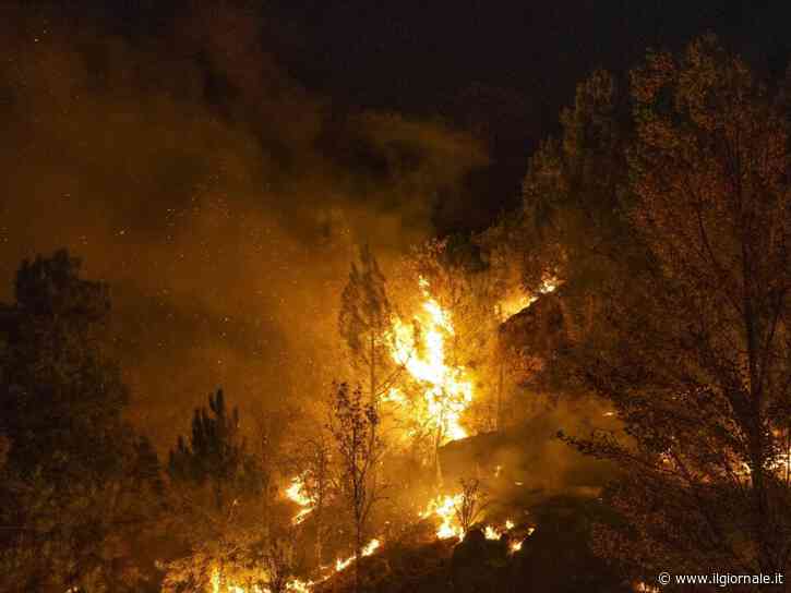Cavo elettrico cade a terra e prende fuoco un bosco: almeno 11 morti in Andalusia