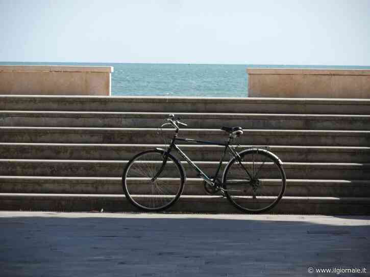 Viaggiare pedalando: da moda ambientalista a turismo alternativo