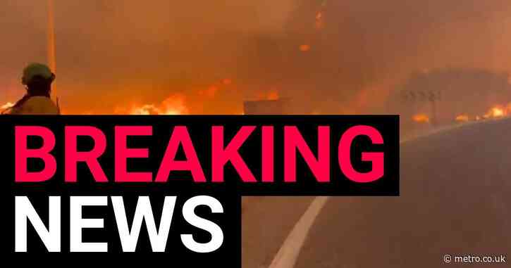 Four British people dead after getting trapped in car in Spanish wildfire
