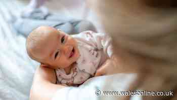 The most popular Welsh baby names for girls in 2026 as Mali, Alys, and Eira make the top 100