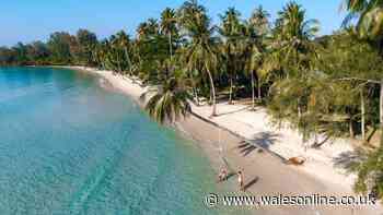 Spontaneity 'a luxury' in travel trends for 2026