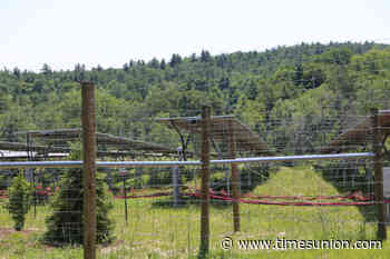 Wetlands violation in Adirondacks triggers $25K fine for solar company