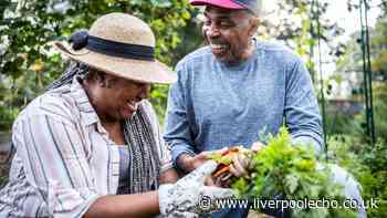 Slugs will stop eating your plants if you add kitchen scrap to soil