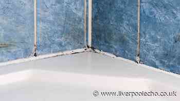 Mould will vanish from shower silicone if you spray it with 1 kitchen item