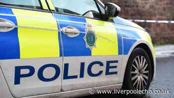 Man in court as woman 'seriously' injured after hit-and-run at zebra crossing