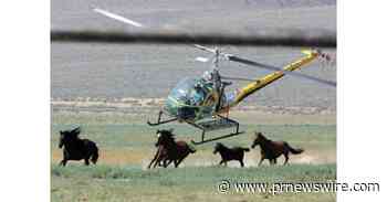 Congress and a Coalition of Conservation Leaders Condemn Largest Planned Wild Horse Roundup in Nevada History