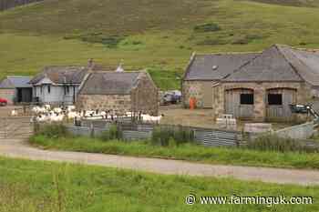 Agricultural business failures surge 450% as pressure mounts