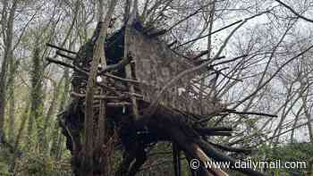 Killjoy council orders father to tear down the 'magical' treehouse he built with his autistic nine-year-old son