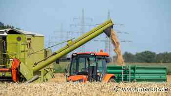 Bayerische Bauern wegen Getreidepreisen außer sich: Überschwemmt die Ukraine den Markt mit Billigware?