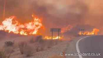 Spain wildfire horror: Four Britons  thought to be among 11 dead in blaze in Andalusia