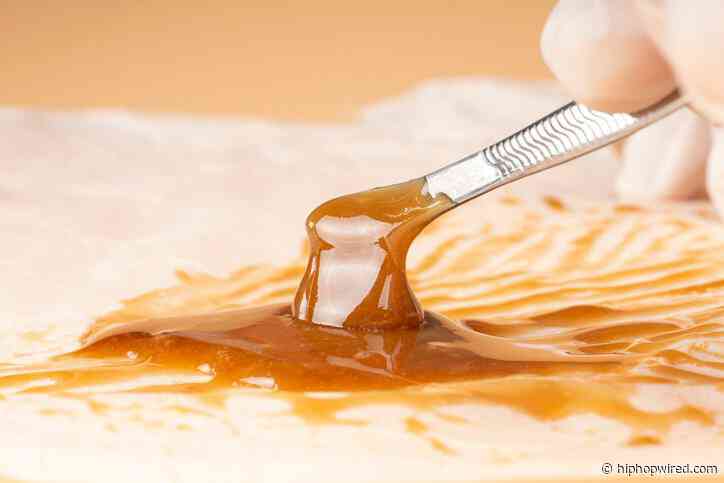 Check Out Our 710 Day Cannabis Roundup