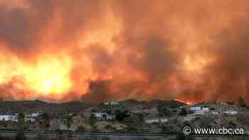 At least 11 killed, 19 missing in southern Spain wildfire
