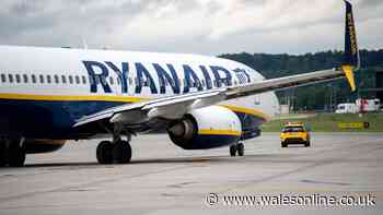 Ryanair passenger on flight from Greece 'sucked partially through dislodged window'