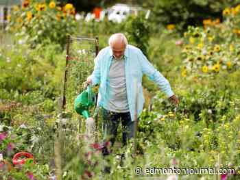 Growing Things: How much water should I use in my garden?