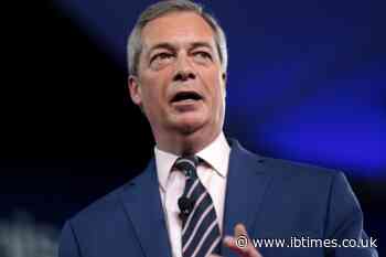 Count Binface and a Human Fox Threaten to Derail Nigel Farage's Bid to 'Stick Two Fingers Up' to the System