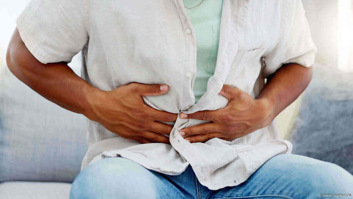 Shigellen in England breiten sich aus – und werden gegen Antibiotika immer resistenter