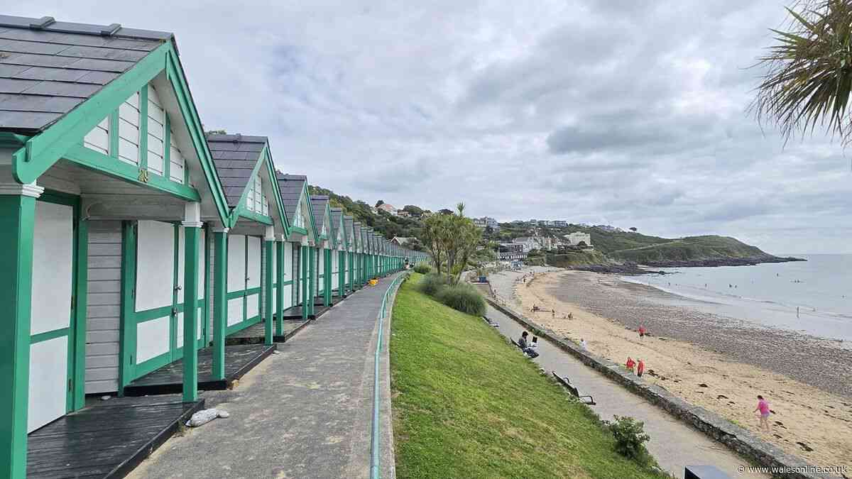 Police crackdown at Welsh beach blighted by antisocial behaviour during hot weather