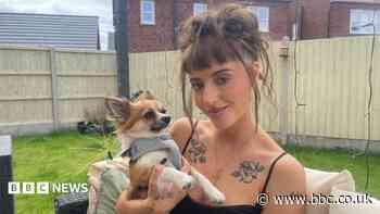 Dog owner wants change after plant poisoning