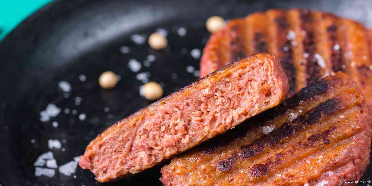 Kun je ziek worden van een vegetarische burger?
