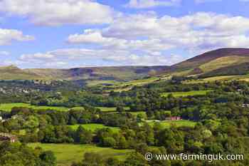 Farm sales rise to highest first-half level in almost 20 years