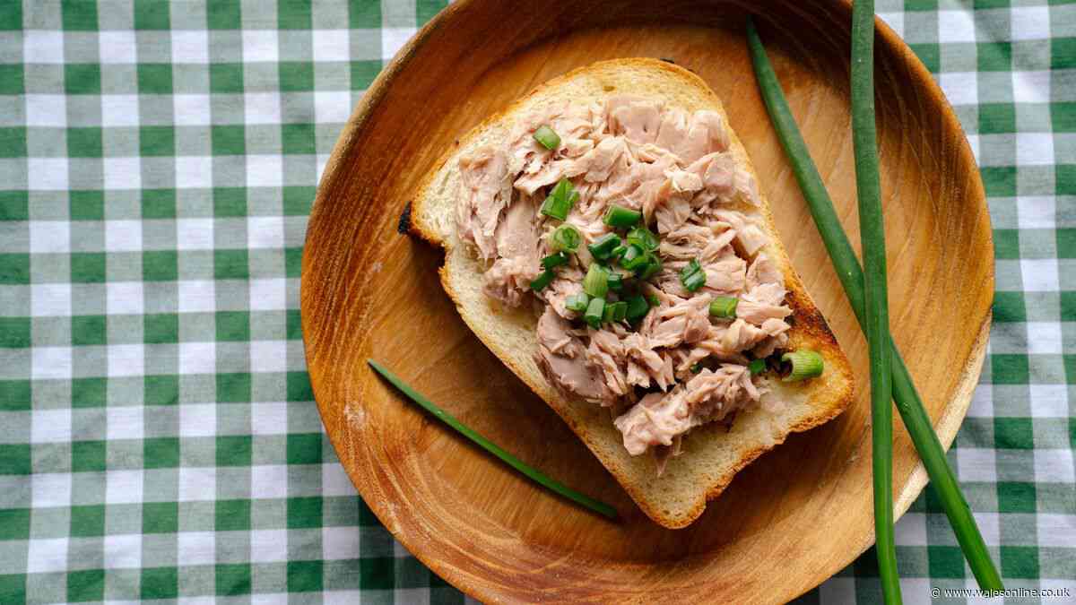 'Wonderfully creamy' no-mayo tuna salad recipe