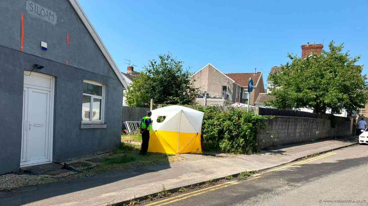 Murder investigation update as police make statement