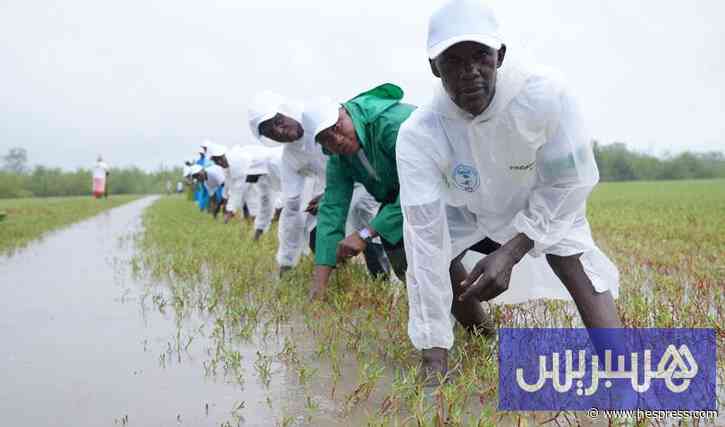مؤسسة الفوسفاط توسع برامج التنمية