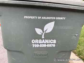 Can you put compostable food containers in the green bin? It’s a bit complicated.