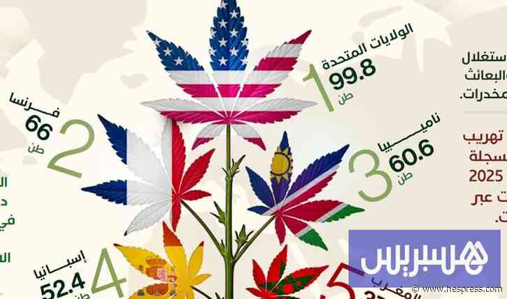 محجوزات القنب الهندي .. المغرب في المركز الخامس عالميًا