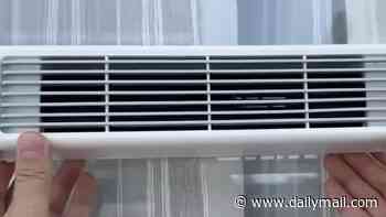 The fake air cons fooling Britain: Experts warn against products 'designed by NASA' that promise to cool a room in 90 seconds