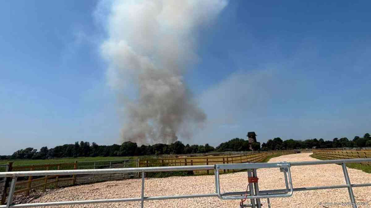 Live updates as thick black smoke plumes from fire near farm
