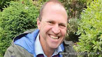'I'm a professional gardener – never do three things in a heatwave'