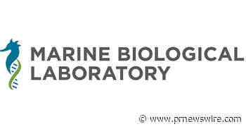 MBL Awarded $3.2 Million to Expand Cutting-Edge Microscopy Infrastructure