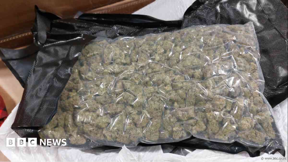 Drug mules flooding region face tougher penalties