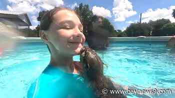 Otters, penguins and plenty of splash: Chase Sanctuary offers one-of-a-kind swim encounters