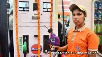 E20 petrol row: Govt answers 9 FAQs on ethanol-blended petrol’s impact on mileage, performance, damage, pricing &amp; more