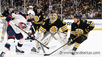Boston Bruins Depth Between The Pipes