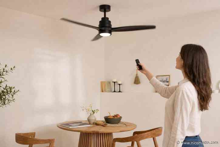 Canicule : ce ventilateur de plafond en bois ultra-silencieux à -35 € va rafraîchir vos nuits
