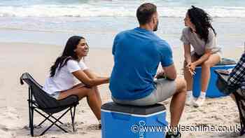 'Lightweight' 28-litre cool box made for day trips and beach outings down to £38