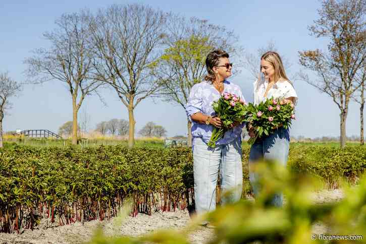 Royal FloraHolland: sierteeltmarkt toont veerkracht ondanks economische en geopolitieke onzekerheid
