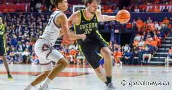 Raptors sign free-agent centre Nate Bittle