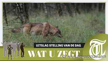 Lezers: ’Wolvenprobleem loopt uit de hand’