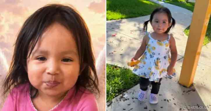 Girl, 2, dies after ‘being left in hot car for three hours’
