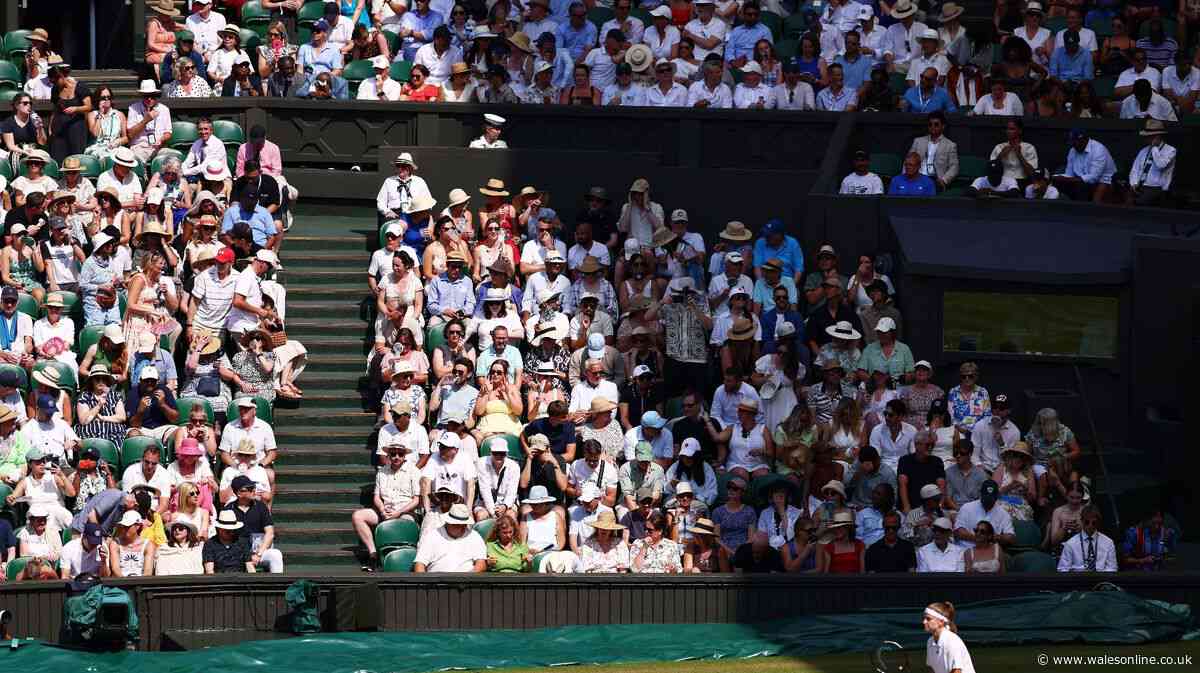 Tennis fan at Wimbledon catches cameras' attention with bold fashion statement