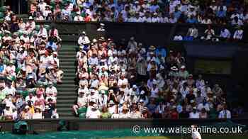 Tennis fan at Wimbledon catches cameras' attention with bold fashion statement
