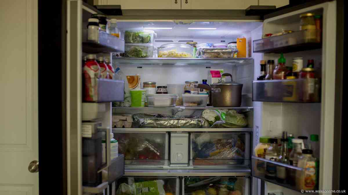 Don't store leftovers in the fridge unless you complete 30-minute task first