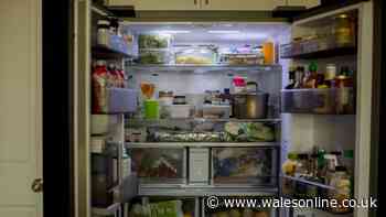 Don't store leftovers in the fridge unless you complete 30-minute task first