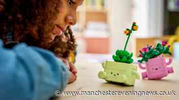 Argos shoppers race to buy £18 LEGO Botanicals set for £2.83 online